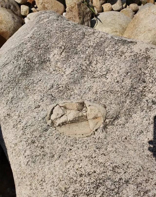 人跡罕至！浙江溫州永嘉這里有條花崗巖石河、平板溪